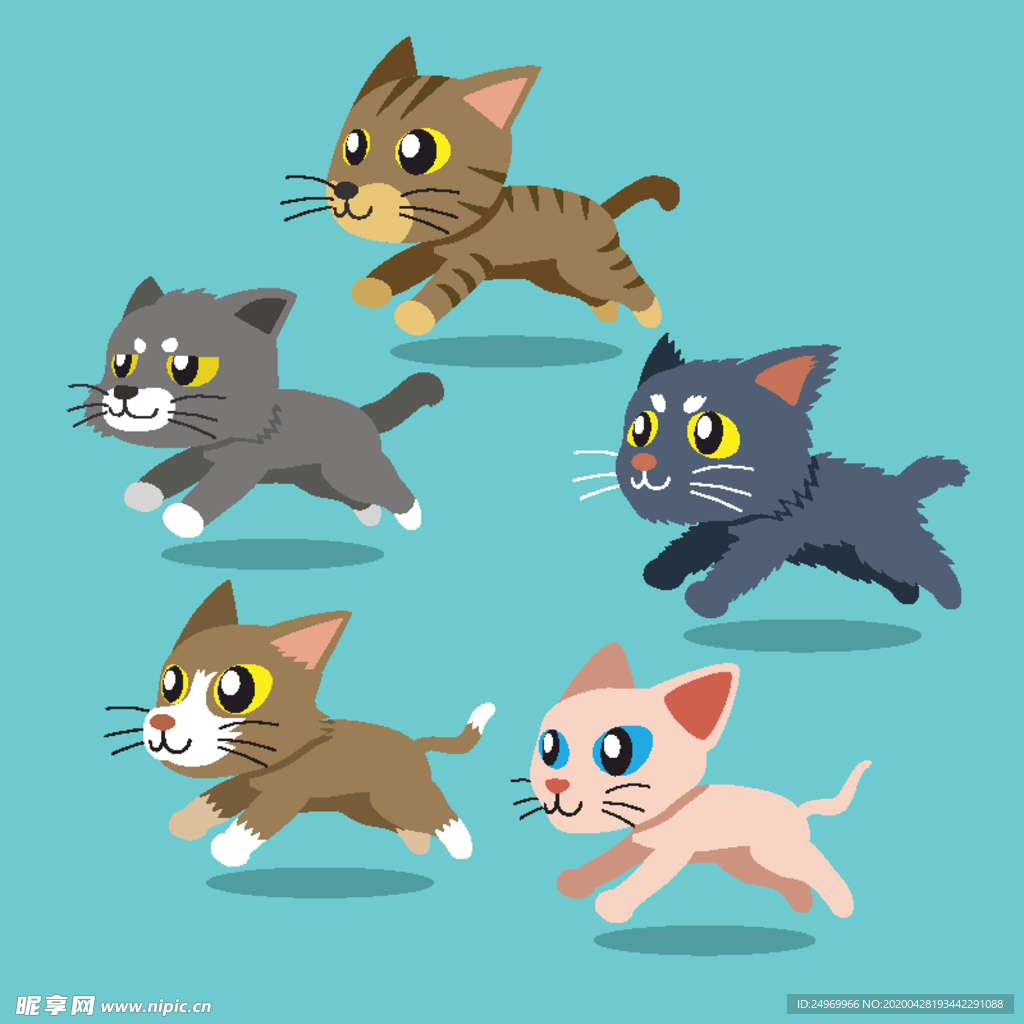 可爱小猫