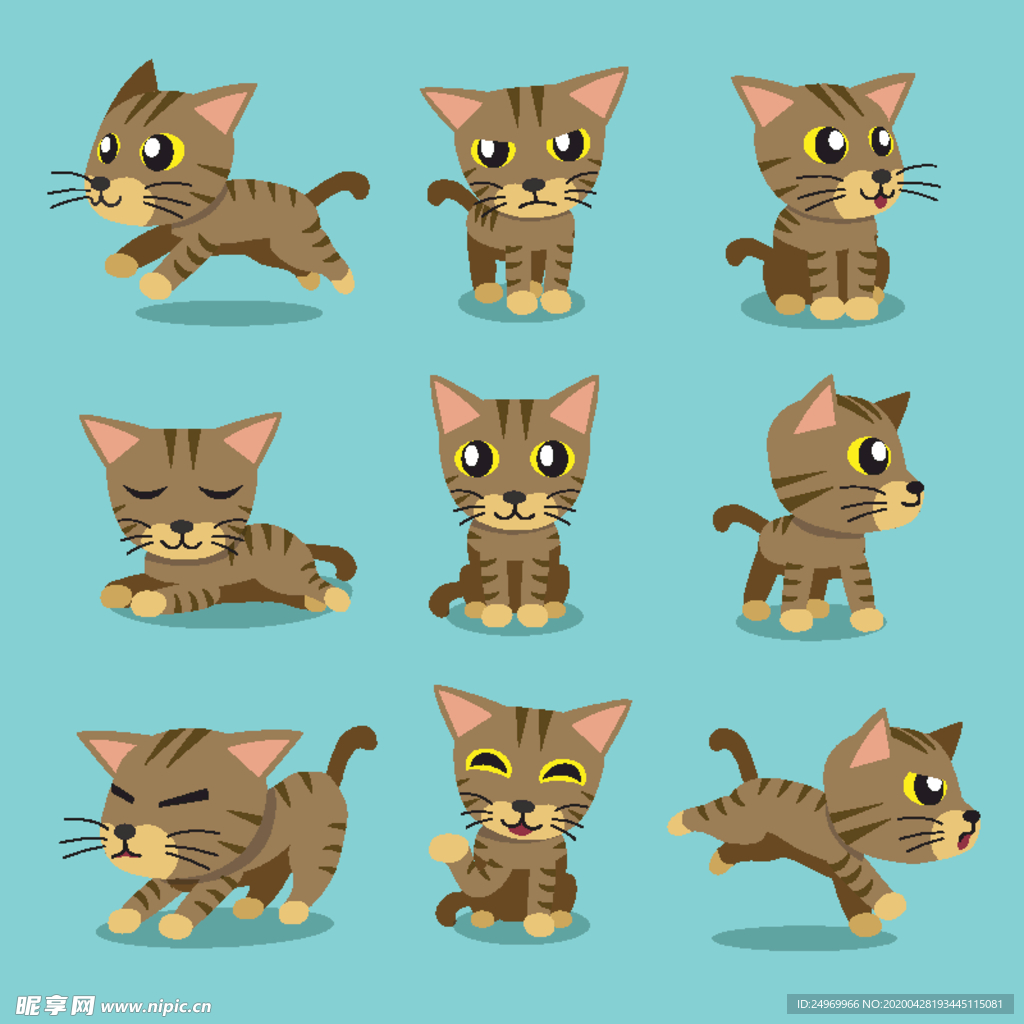 可爱小猫