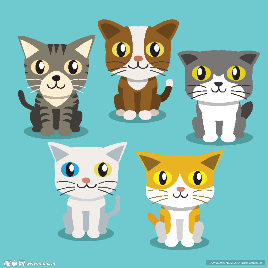可爱小猫