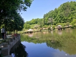 蓝天绿树湖水边