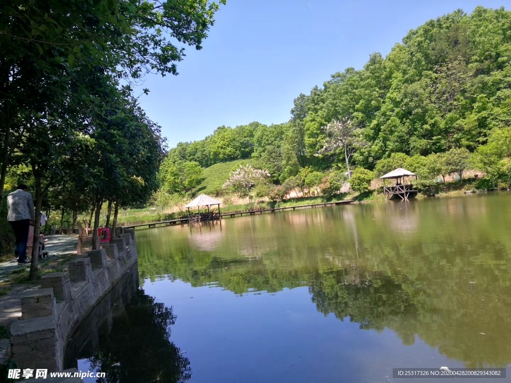 蓝天绿树湖水边