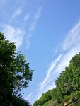 蓝天绿树