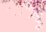 小清新花瓣元素