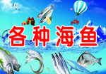 海鱼背景