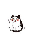 卡通猫