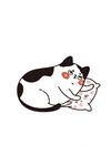 卡通猫