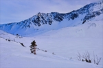 雪景