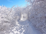 雪景
