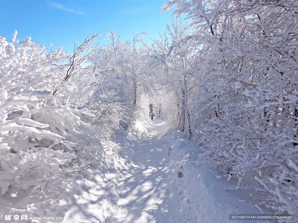 雪景