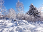 雪景