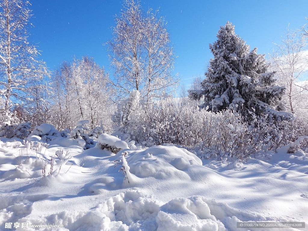 雪景