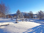 雪景