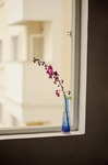 窗台蓝色花瓶与花艺