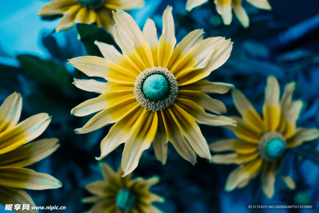花
