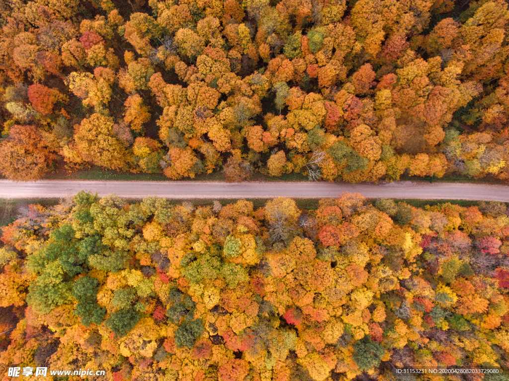 道路