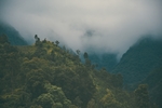 山间 云雾