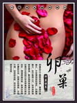 卵巢保养