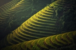 梯田