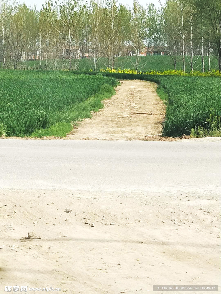 田间小道