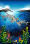 海洋生物