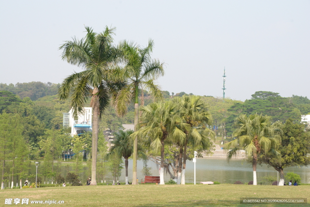 公园 东莞公园 东莞植物园 植