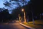 公园夜景