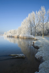 冬季雪景