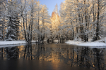 冬季雪景