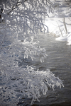 冬季雪景