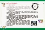 团体心理治疗功能