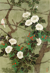花鸟图