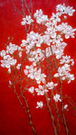 玉兰花