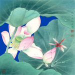 荷花图