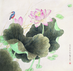荷花