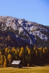 秋日山林