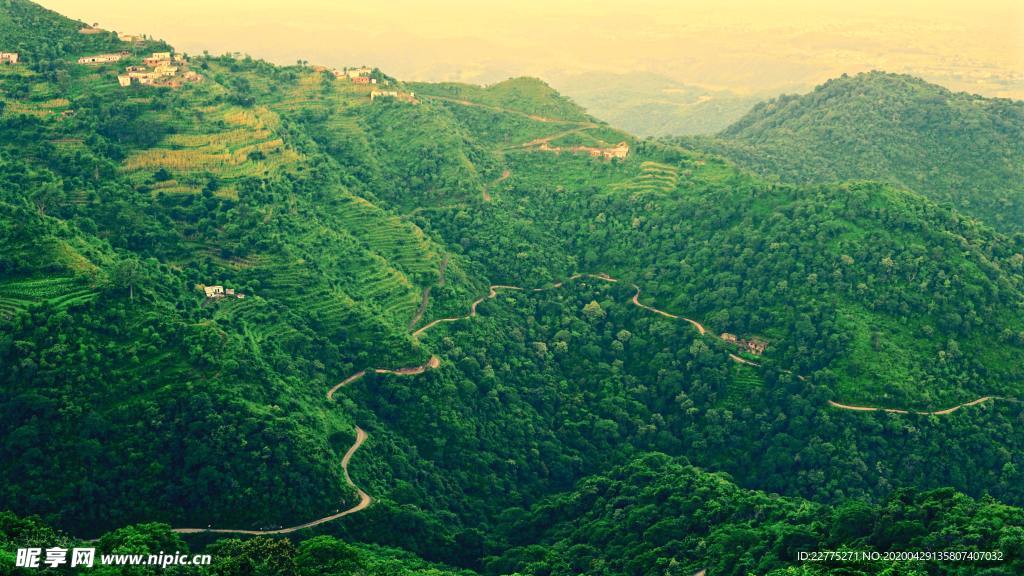 青山公路