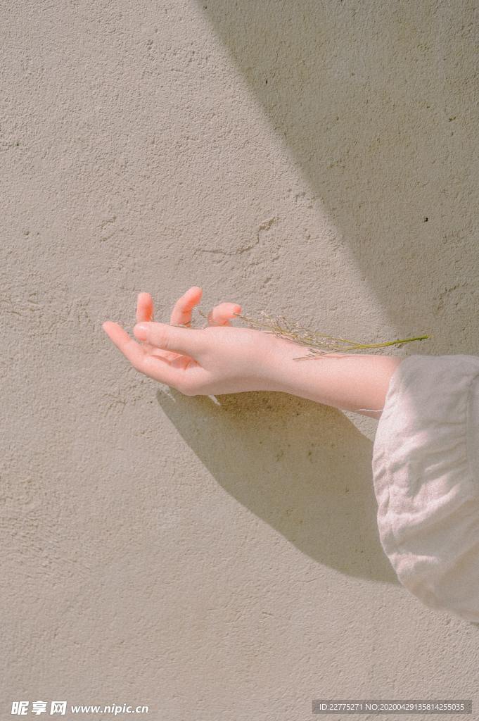 少女的手臂