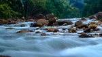 小溪水流