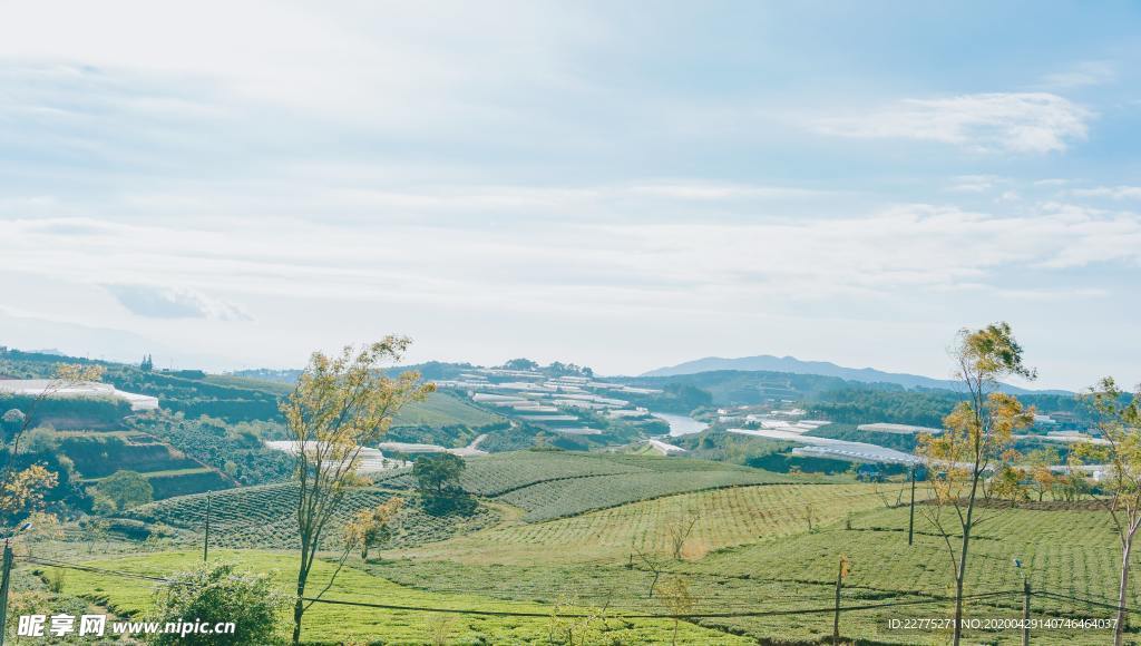 田园风光