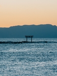 日本海水中的鸟居