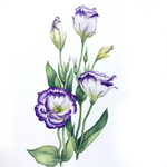 植物花朵绘画素材