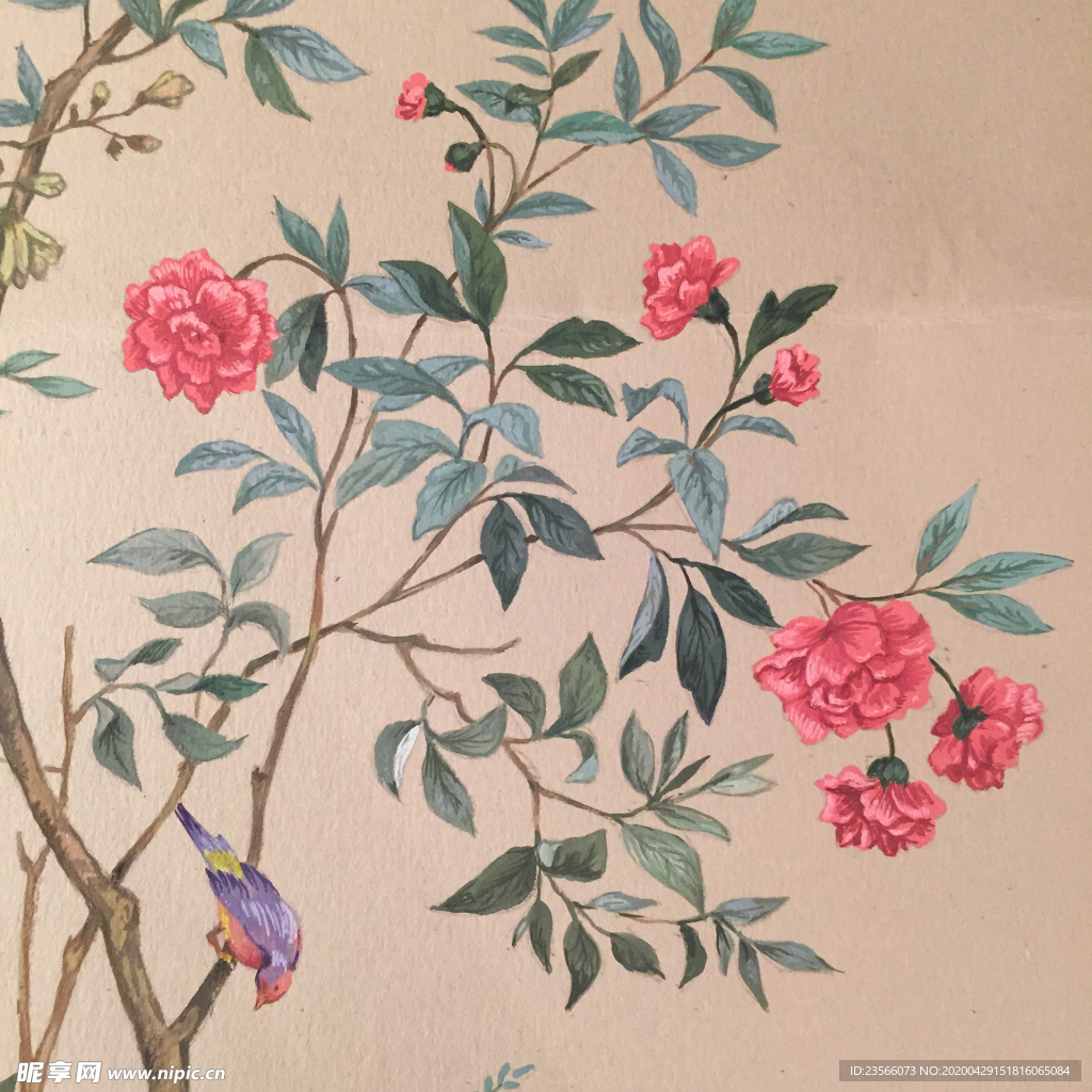 植物花朵绘画素材