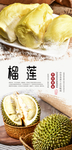 榴莲美味水果海报