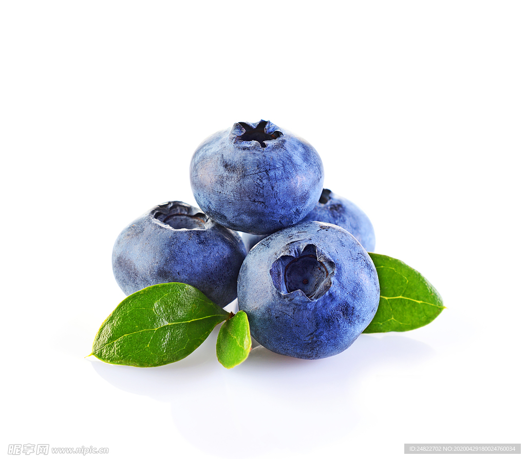 蓝莓怎么扦插繁殖 - 花百科