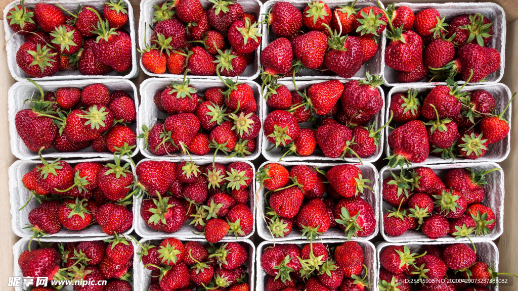 草莓蓝莓浆果果汁图片