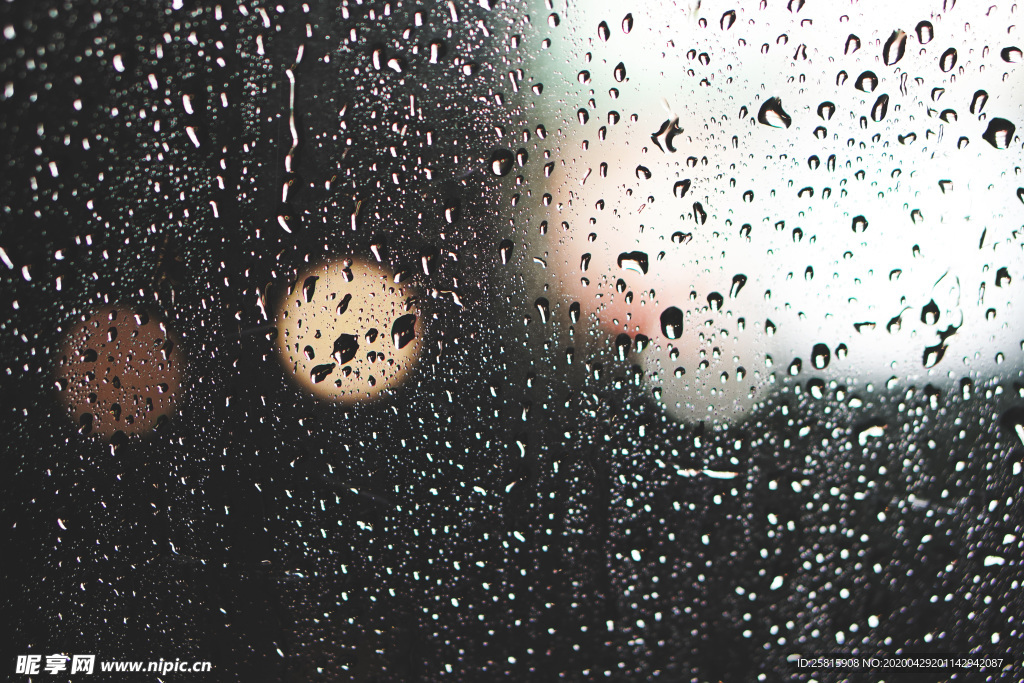 雨中美景水珠积水图片