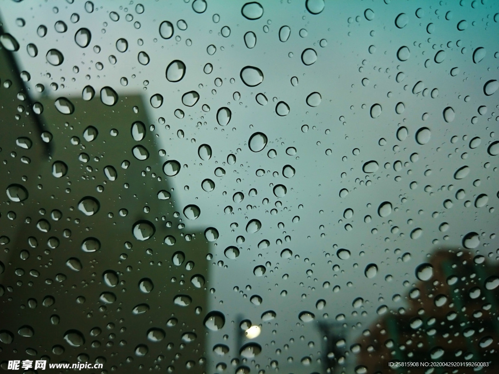 雨中美景水珠积水图片