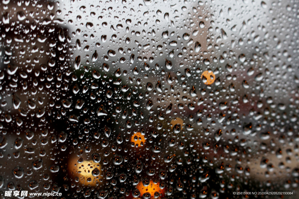 雨中美景水珠积水图片