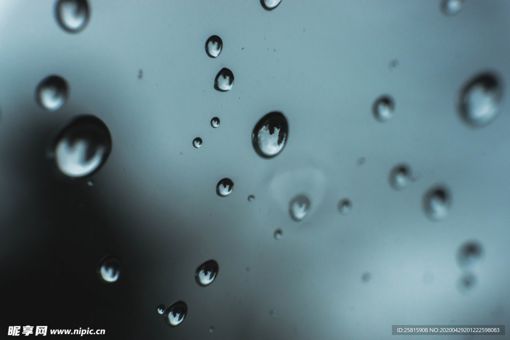 雨中美景水珠积水图片