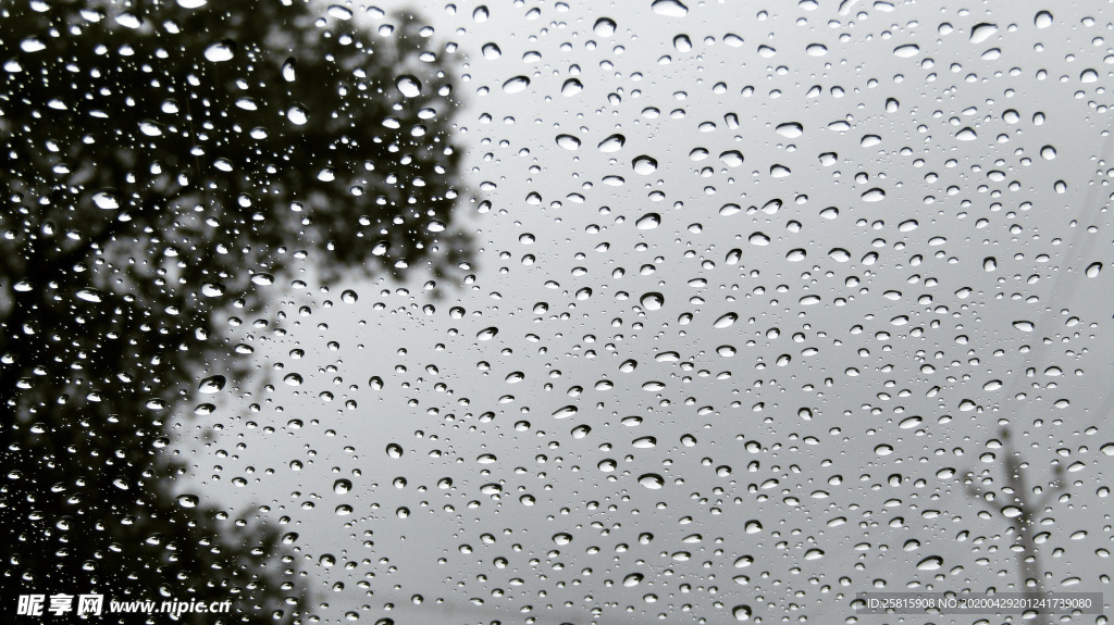 雨中美景水珠积水图片